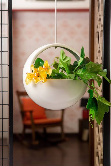 Hanging Basket Planter