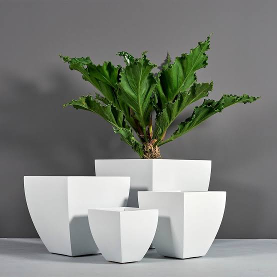 Lima Square Tapered